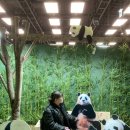 새가양약국 | 더현대 푸바오 팝업🐼 / 또간집 여의도 맛집 가양 칼국수