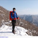 폼생폼사