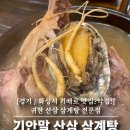 기배로 이미지