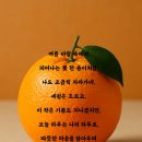 ♥️♥️♥️♥️♥️ 오다,가다 읽어보슈. 이미지