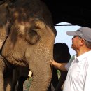 호텔정글(jungle) 이미지