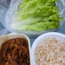 늘푸른마트 | 농라 늘푸른농장 유럽샐러드, 호렙농원 대파, 희망농장 와일드루꼴라 솔직 후기