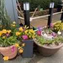 까사3353레스토랑 이미지