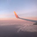 레지나 펜션 | 6월 23- 27일 제주도 여행 (장마...)