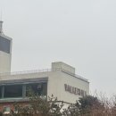 허그힐 | 워커힐 피자힐🍕 후기 (용인에 당근케이크 맛도리 카페도 소개해요)