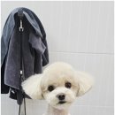 까미랑몽이