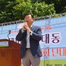 논골 데일리와이