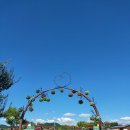 갯골생태공원 이미지