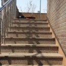 충청남도홍성교육지원청홍성도서관 이미지