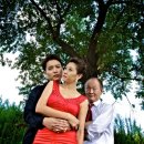 전세홍 카카오 검색결과