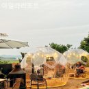 펜션아일라 이미지