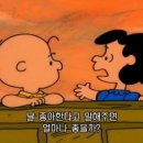 도림로139길 이미지