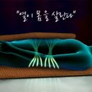 고려인삼총판