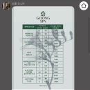티엠호텔(TM Hotel) | 필리핀 보홀 3박 5일 여행 (헤난 알로나비치 리조트 / 에어서울 / 로컬페이지 호핑투어 / 궁스파 / 몽키...