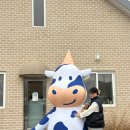 산정목장 | 포천 산정호수 카페 추천 사르르목장 웨이팅 꿀팁 + 카이막 후기