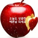 청송찻집입니다 이미지