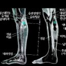 퇴 수 정 이미지
