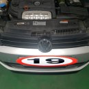 다나모터스 이미지