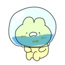 프리미엄 와와 이미지