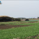 마라도잠수함 근처 가볼만한곳 ~ 선을넘는녀석들 한반도편 제주다크투어 따라잡기