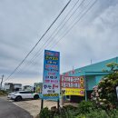 제주 탐나는 문어 하도점 찐후기! 현지인도 인정한 통문어 맛집