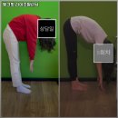 라이프 발란서 이미지