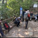 청석골농장 이미지