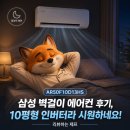 D-10 | 삼성 AR50F10D13HS 벽걸이 에어컨 후기, 원룸·안방용으로 괜찮네요