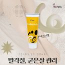 레푸스 범어점 이미지