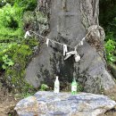 도당3리 이미지