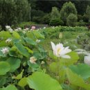 평화공원 내 이미지