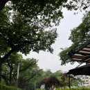 수안보족욕체험장 이미지