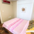 마이앤트세라 이미지