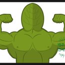 미래벌크에너지 이미지