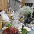 하모니어린이집 이미지