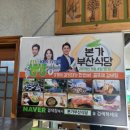 애견본가 네이버블로그