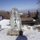 제132회 정기산행 (강원 정선 백운산 마천봉, 1월 19일 일요일) 이미지