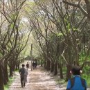 운서역 1번출구 우측 이미지