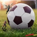 (주)앤트로스 이미지