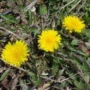 옥남농장 이미지