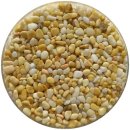 자갈자갈 이미지