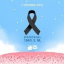 5·18 당구클럽 이미지