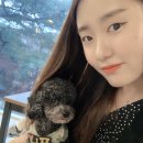 with dog(위드독) 이미지