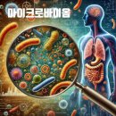 마이크로짐 이미지