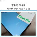 (주)케이티스카이라이프 | 모요 알뜰폰 요금제 월 천원에 개통 가입방법 후기