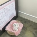 아임케어 이미지