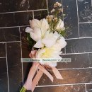 플로바이나