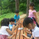 꿈꾸는숲유치원 이미지