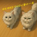 가평 빠지 준비물 비용 및 내돈 내산 후기