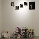자연광주리협동조합 | 전통의 결을 찾아 빛과 공예가 스며든 전시회 후기 - 결 : 옻칠과 나전 사이